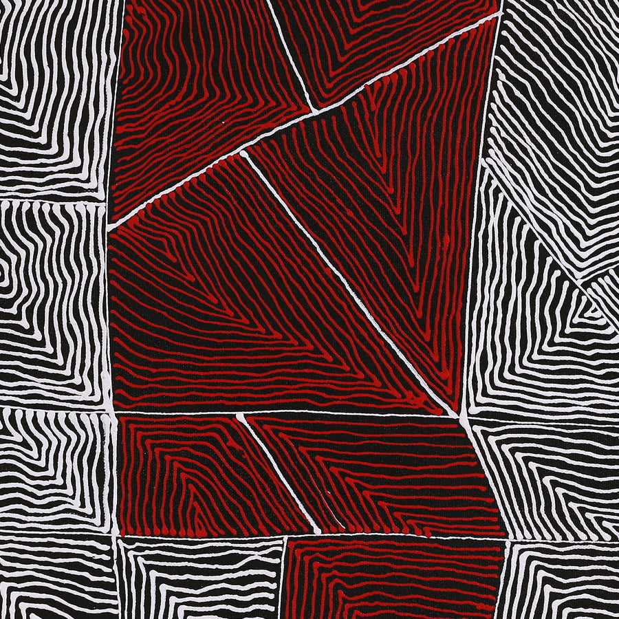 Aboriginal Artwork by Mary Napangardi Butcher, Pikilyi Jukurrpa, 46x46cm