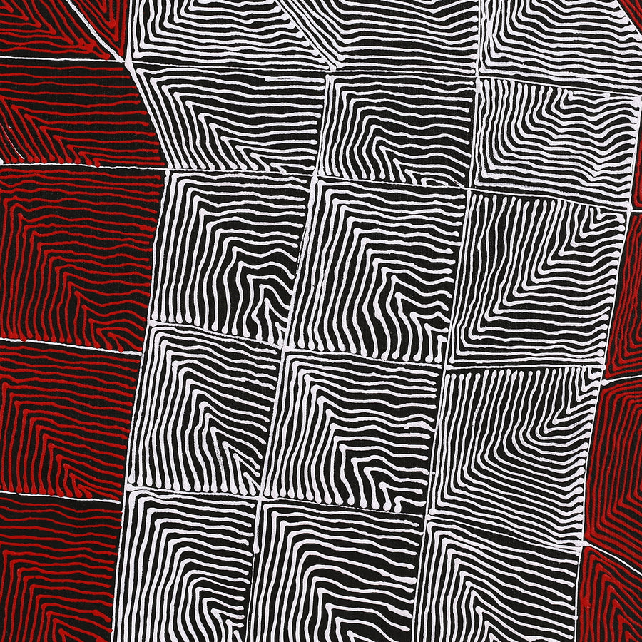 Aboriginal Artwork by Mary Napangardi Butcher, Pikilyi Jukurrpa, 46x46cm
