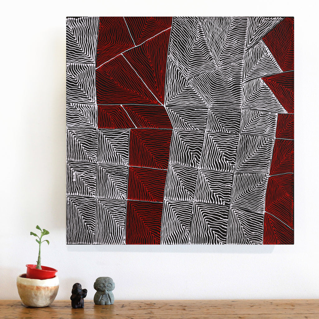 Aboriginal Artwork by Mary Napangardi Butcher, Pikilyi Jukurrpa, 46x46cm