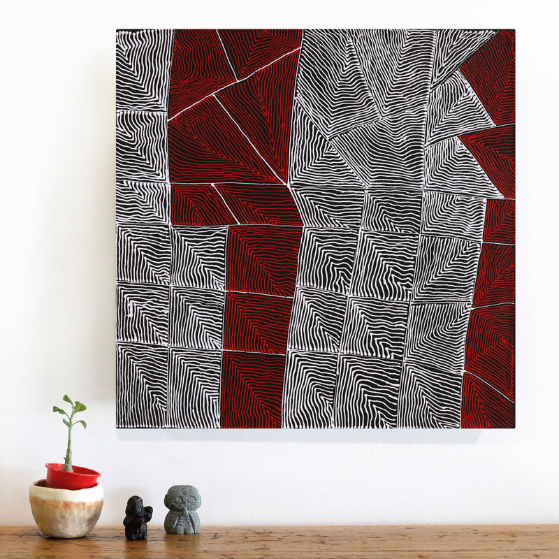 Aboriginal Artwork by Mary Napangardi Butcher, Pikilyi Jukurrpa, 46x46cm