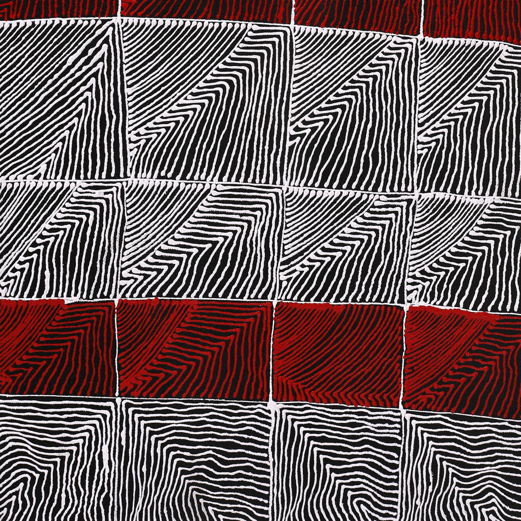 Aboriginal Artwork by Mary Napangardi Butcher, Pikilyi Jukurrpa, 61x30cm