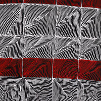 Aboriginal Artwork by Mary Napangardi Butcher, Pikilyi Jukurrpa, 61x30cm