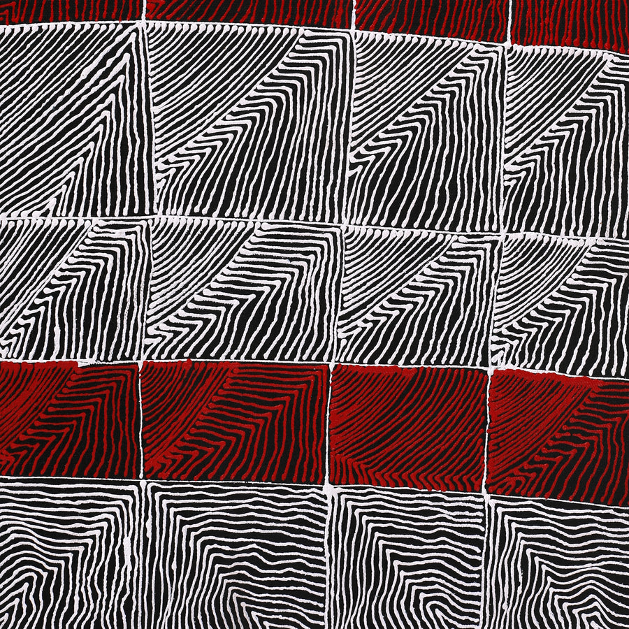 Aboriginal Artwork by Mary Napangardi Butcher, Pikilyi Jukurrpa, 61x30cm