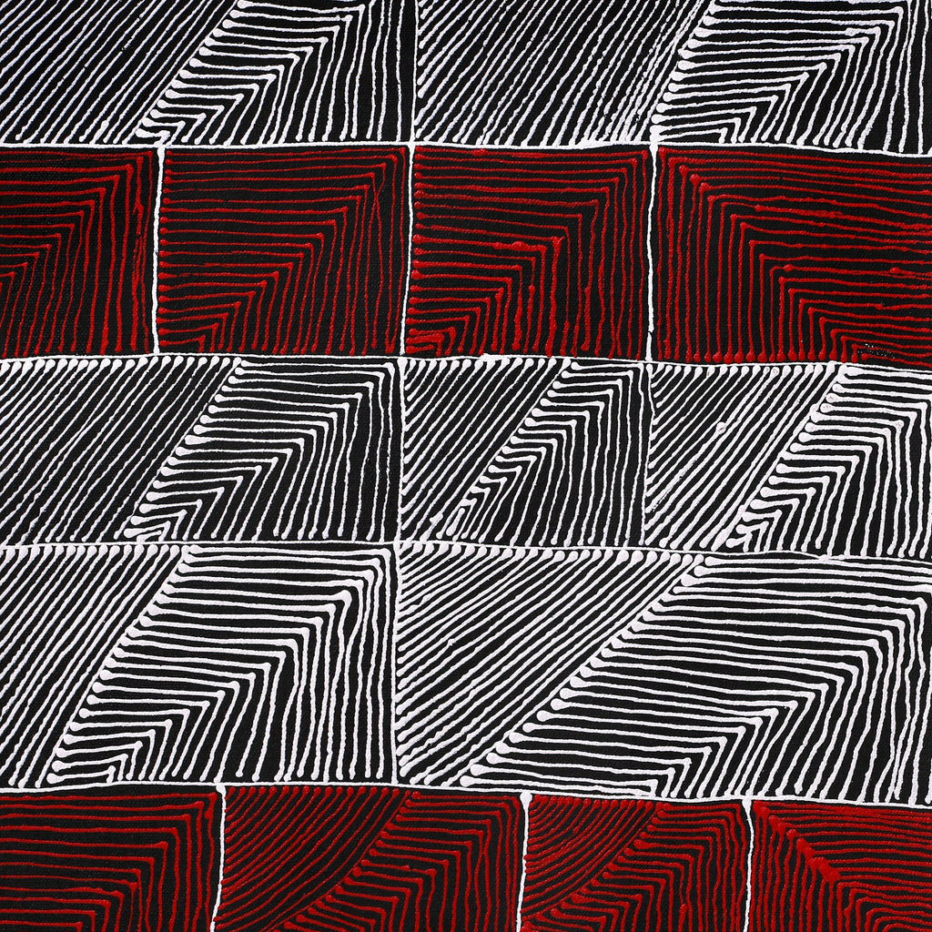 Aboriginal Artwork by Mary Napangardi Butcher, Pikilyi Jukurrpa, 61x30cm