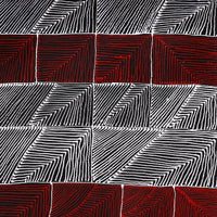 Aboriginal Artwork by Mary Napangardi Butcher, Pikilyi Jukurrpa, 61x30cm