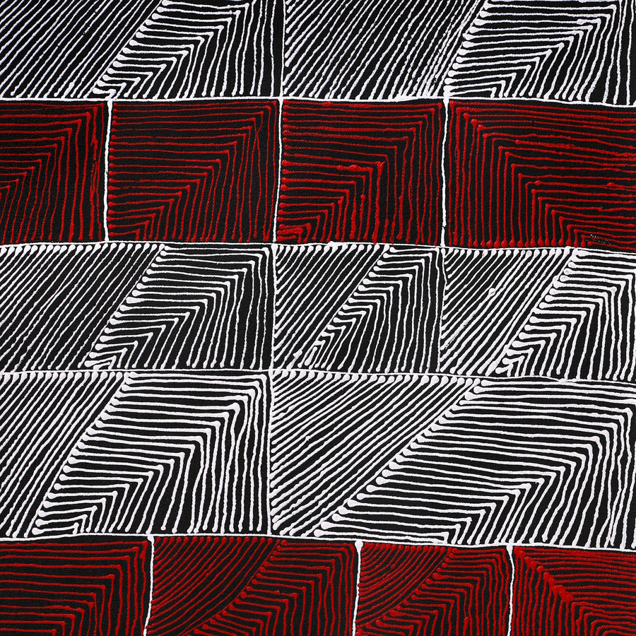 Aboriginal Artwork by Mary Napangardi Butcher, Pikilyi Jukurrpa, 61x30cm