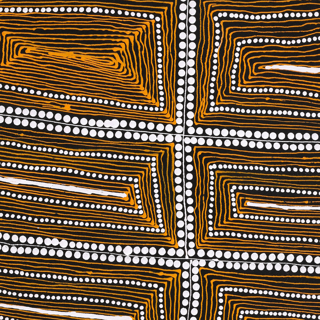 Aboriginal Artwork by Mary Napangardi Butcher, Pikilyi Jukurrpa, 61x30cm