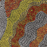 Aboriginal Artwork by Mary Napangardi Butcher, Pikilyi Jukurrpa, 61x46cm
