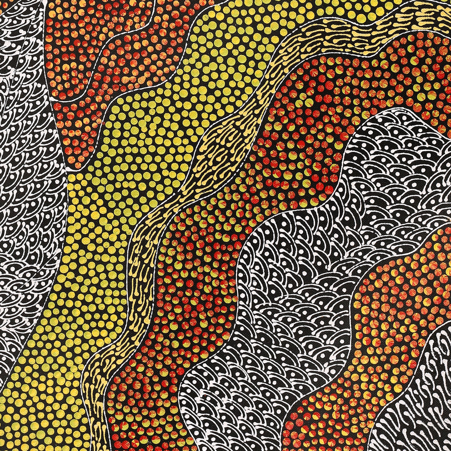 Aboriginal Artwork by Mary Napangardi Butcher, Pikilyi Jukurrpa, 61x46cm