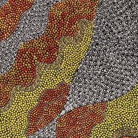 Aboriginal Artwork by Mary Napangardi Butcher, Pikilyi Jukurrpa, 61x46cm