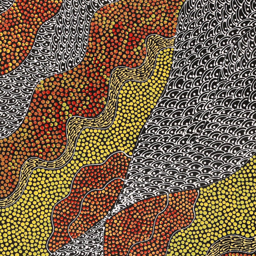 Aboriginal Artwork by Mary Napangardi Butcher, Pikilyi Jukurrpa, 61x46cm