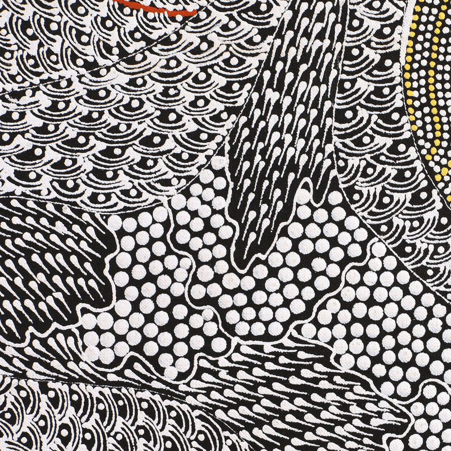 Aboriginal Artwork by Mary Napangardi Butcher, Pikilyi Jukurrpa, 61x61cm