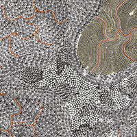 Aboriginal Artwork by Mary Napangardi Butcher, Pikilyi Jukurrpa, 61x61cm