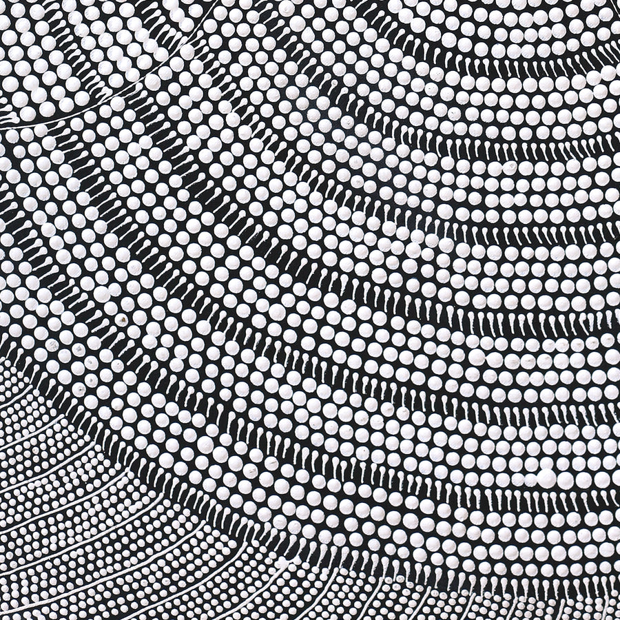 Aboriginal Artwork by Mary Napangardi Butcher, Pikilyi Jukurrpa, 76x46cm