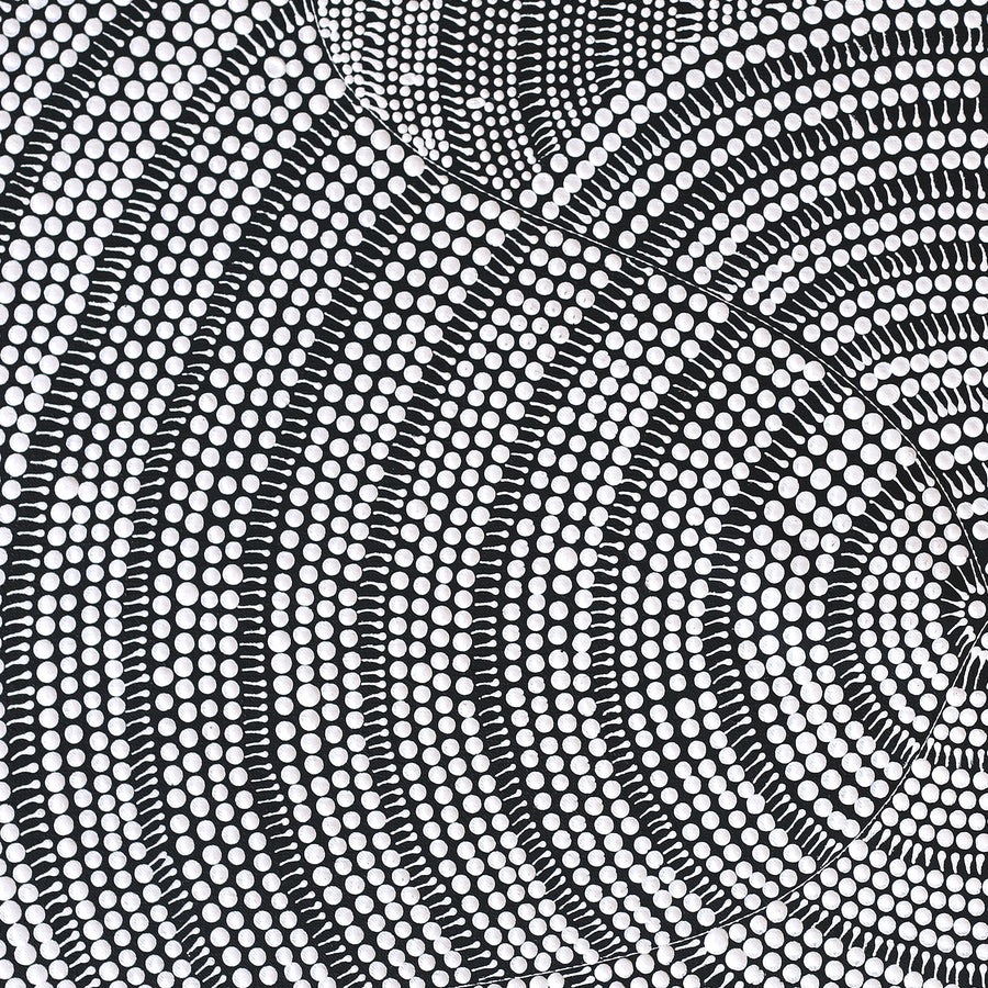 Aboriginal Artwork by Mary Napangardi Butcher, Pikilyi Jukurrpa, 76x46cm