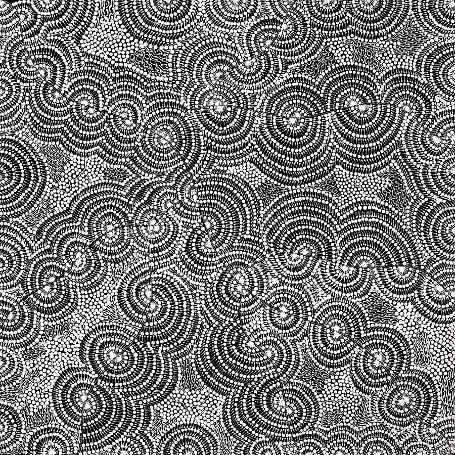 Aboriginal Artwork by Mary Napangardi Butcher, Pikilyi Jukurrpa, 76x76cm