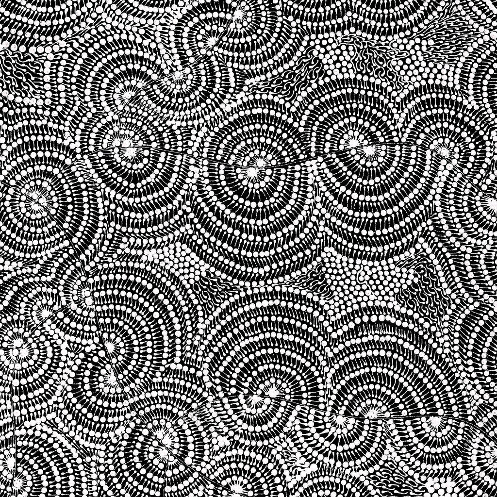 Aboriginal Artwork by Mary Napangardi Butcher, Pikilyi Jukurrpa, 76x76cm