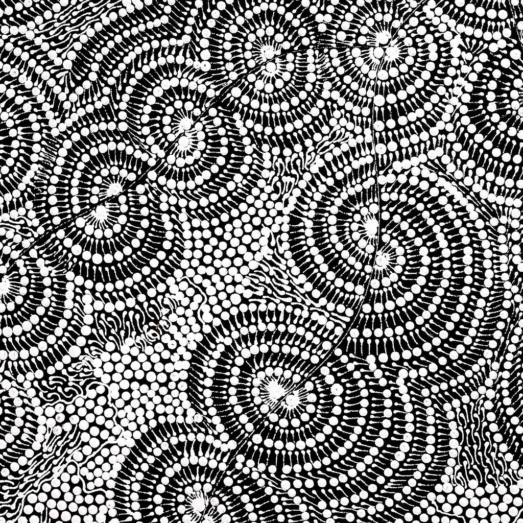 Aboriginal Artwork by Mary Napangardi Butcher, Pikilyi Jukurrpa, 76x76cm
