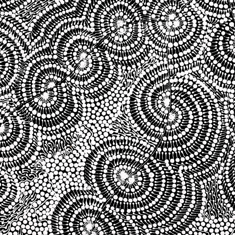 Aboriginal Artwork by Mary Napangardi Butcher, Pikilyi Jukurrpa, 76x76cm