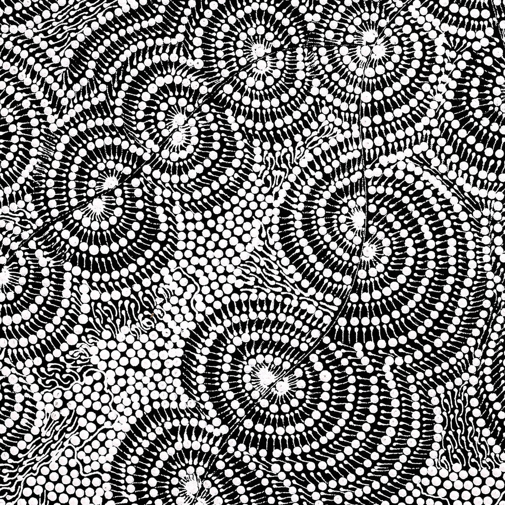 Aboriginal Artwork by Mary Napangardi Butcher, Pikilyi Jukurrpa, 76x76cm - ART ARK®