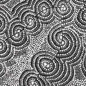 Aboriginal Artwork by Mary Napangardi Butcher, Pikilyi Jukurrpa, 76x76cm - ART ARK®