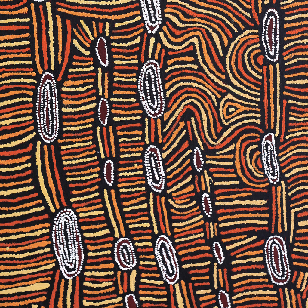Aboriginal Artwork by Mary Napangardi Brown, Mina Mina Jukurrpa - Ngalyipi, 122x61cm