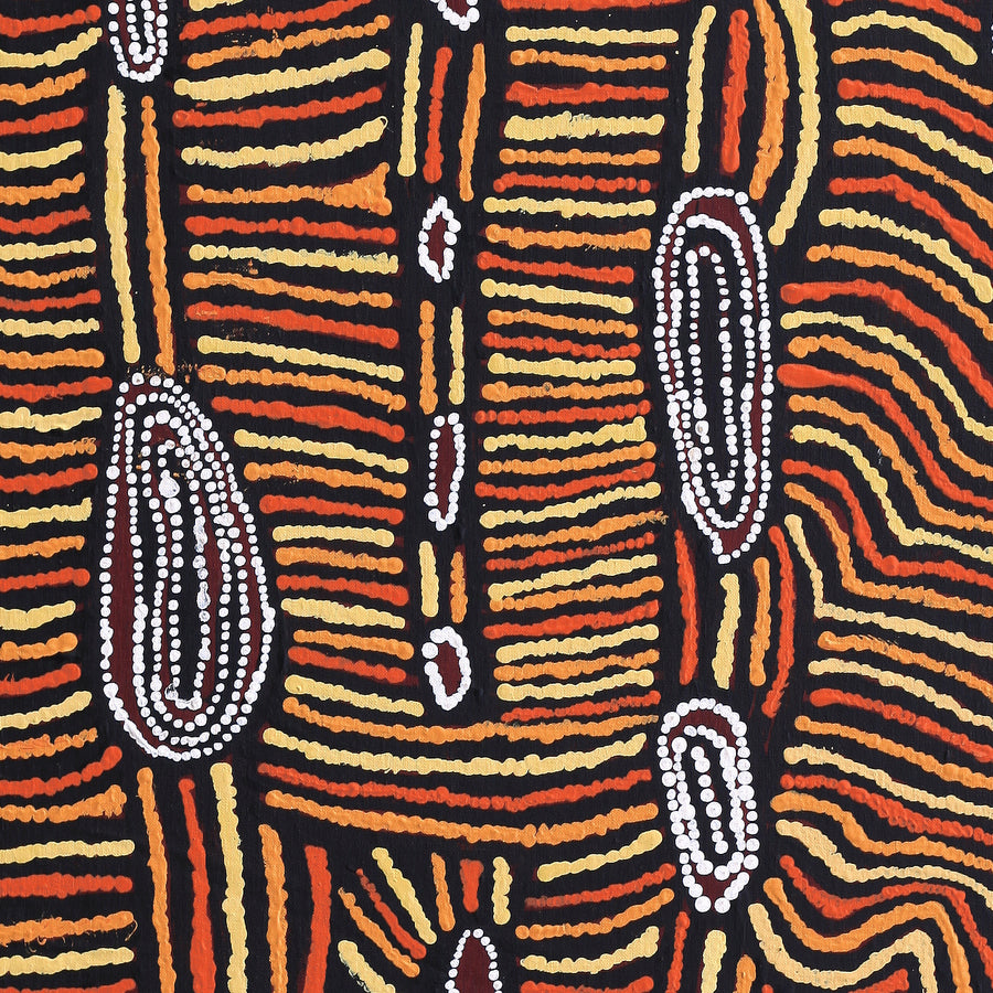 Aboriginal Artwork by Mary Napangardi Brown, Mina Mina Jukurrpa - Ngalyipi, 122x61cm