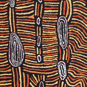 Aboriginal Art by Mary Napangardi Brown, Mina Mina Jukurrpa - Ngalyipi, 122x61cm - ART ARK®