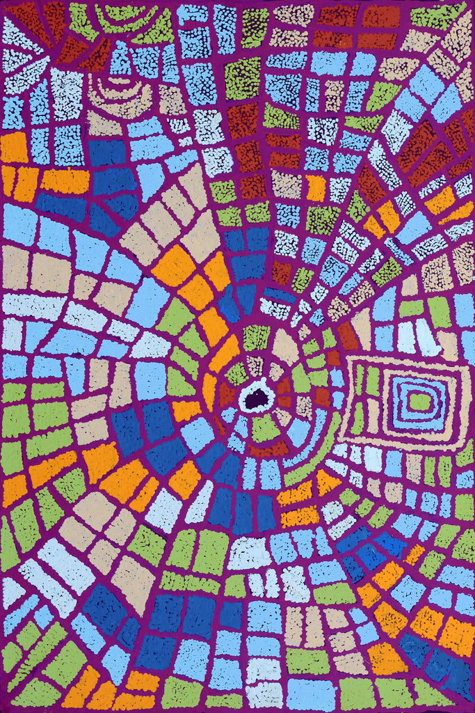 Aboriginal Artwork by Mary Napangardi Brown, Mina Mina Jukurrpa - Ngalyipi, 91x61cm