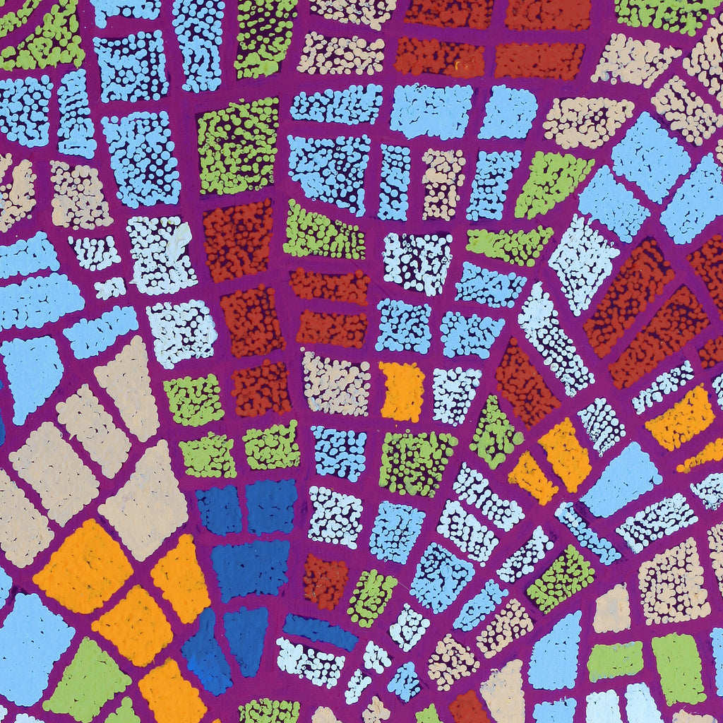 Aboriginal Artwork by Mary Napangardi Brown, Mina Mina Jukurrpa - Ngalyipi, 91x61cm