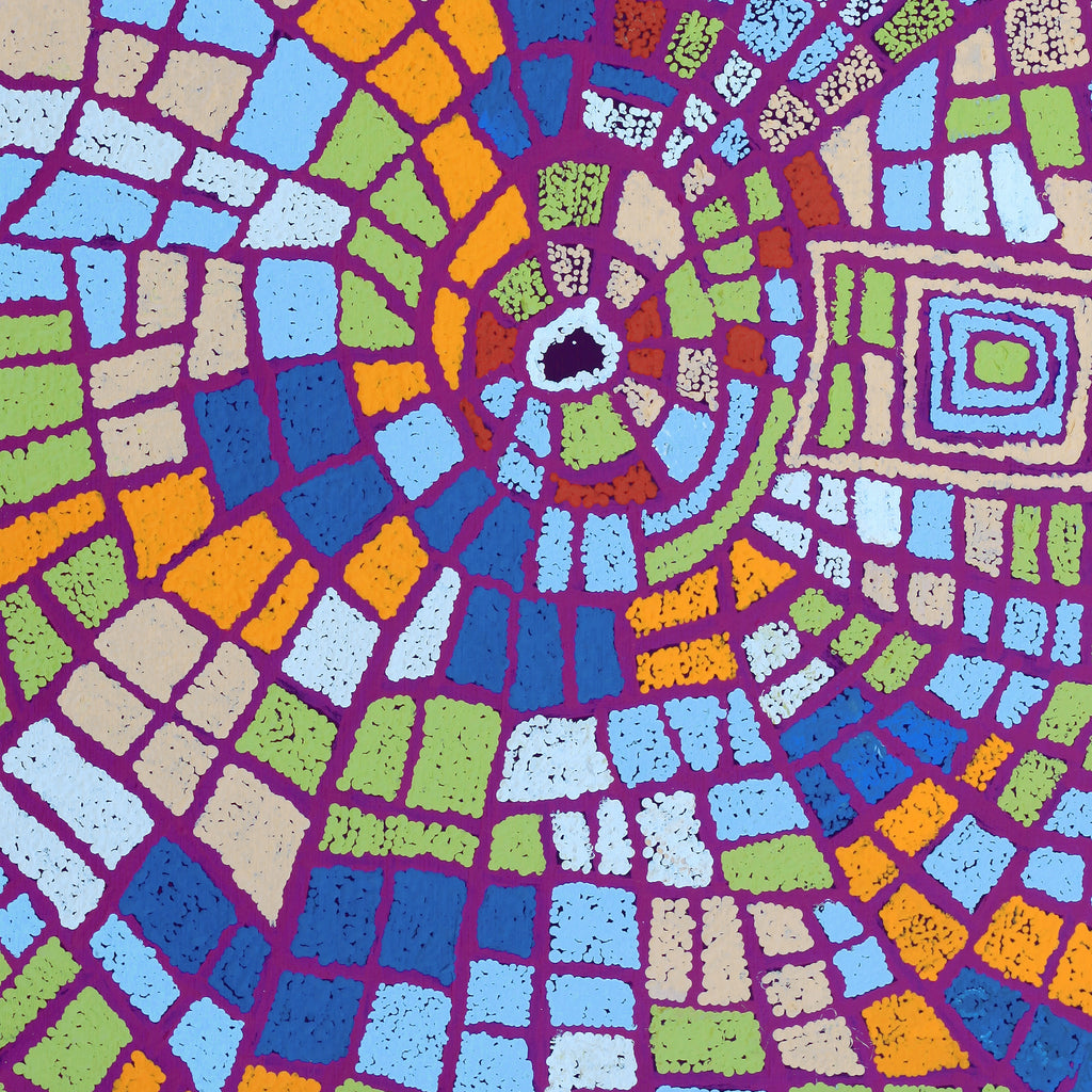 Aboriginal Artwork by Mary Napangardi Brown, Mina Mina Jukurrpa - Ngalyipi, 91x61cm