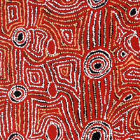 Aboriginal Artwork by Mary Napangardi Brown, Mina Mina Jukurrpa - Ngalyipi, 91x61cm