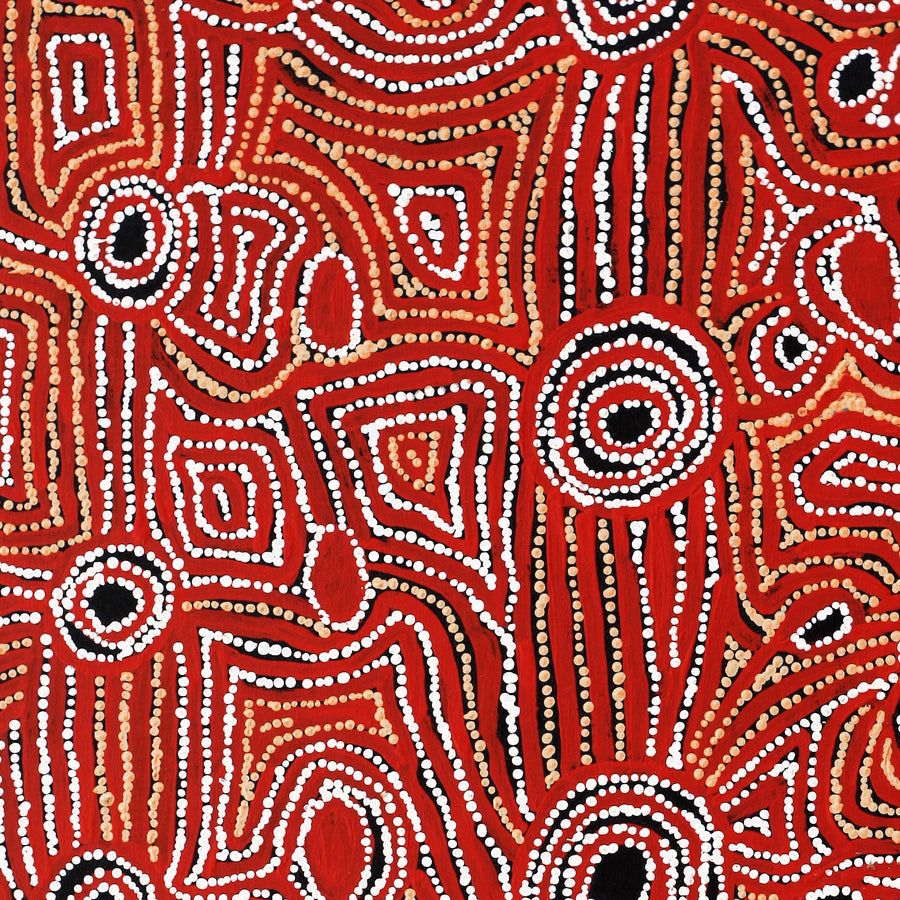 Aboriginal Artwork by Mary Napangardi Brown, Mina Mina Jukurrpa - Ngalyipi, 91x61cm