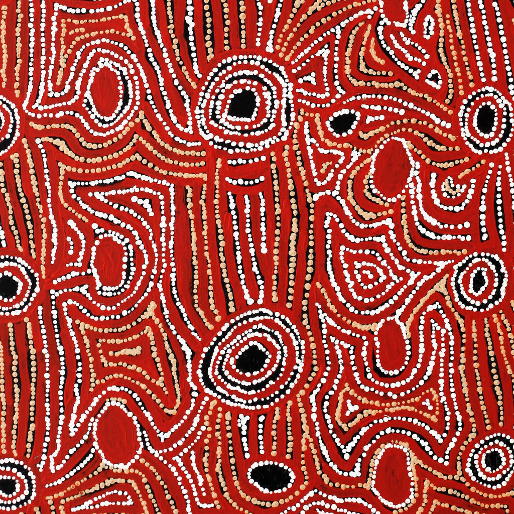 Aboriginal Artwork by Mary Napangardi Brown, Mina Mina Jukurrpa - Ngalyipi, 91x61cm