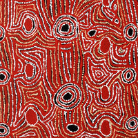 Aboriginal Artwork by Mary Napangardi Brown, Mina Mina Jukurrpa - Ngalyipi, 91x61cm