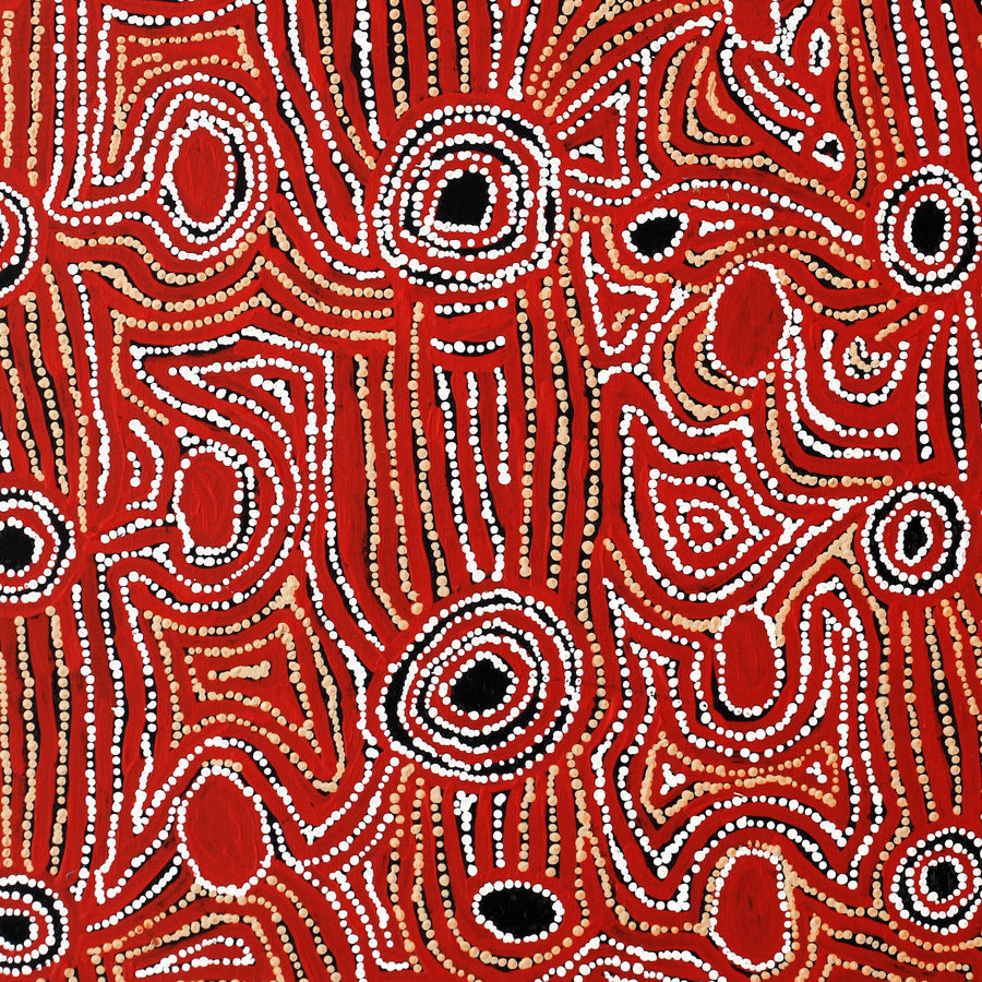 Aboriginal Artwork by Mary Napangardi Brown, Mina Mina Jukurrpa - Ngalyipi, 91x61cm