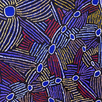 Aboriginal Artwork by Mary Napangardi Brown, Kurrkara Jukurrpa (Desert Oak Dreaming), 91x91cm