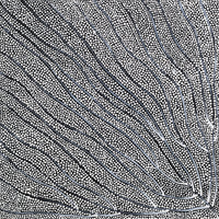 Aboriginal Artwork by Mary Napangardi Butcher, Pikilyi Jukurrpa, 30x30cm
