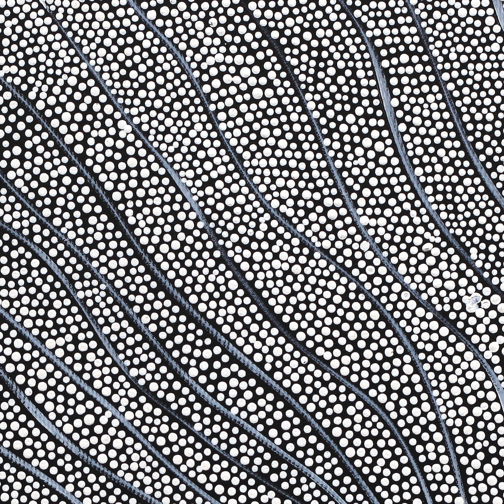 Aboriginal Artwork by Mary Napangardi Butcher, Pikilyi Jukurrpa, 30x30cm