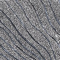 Aboriginal Artwork by Mary Napangardi Butcher, Pikilyi Jukurrpa, 30x30cm