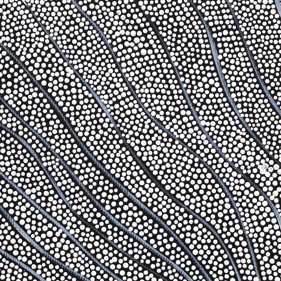 Aboriginal Artwork by Mary Napangardi Butcher, Pikilyi Jukurrpa, 30x30cm