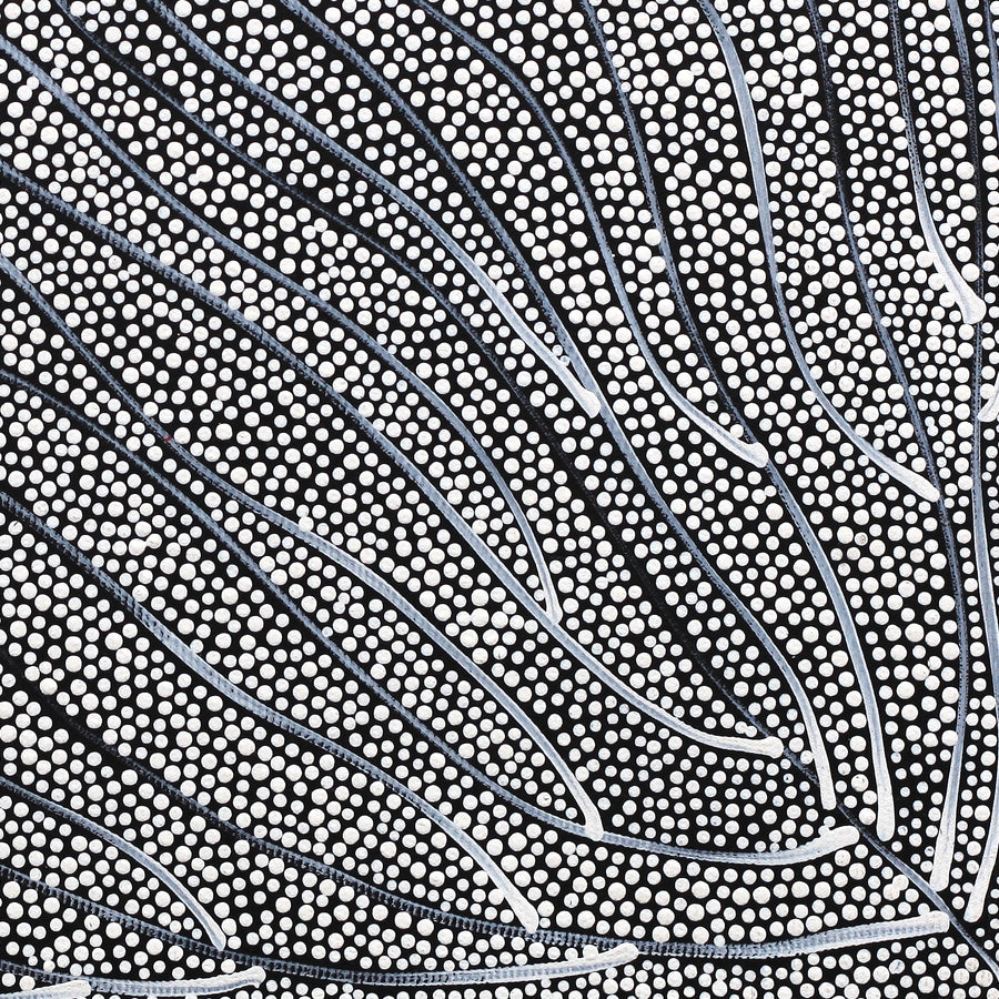 Aboriginal Artwork by Mary Napangardi Butcher, Pikilyi Jukurrpa, 30x30cm