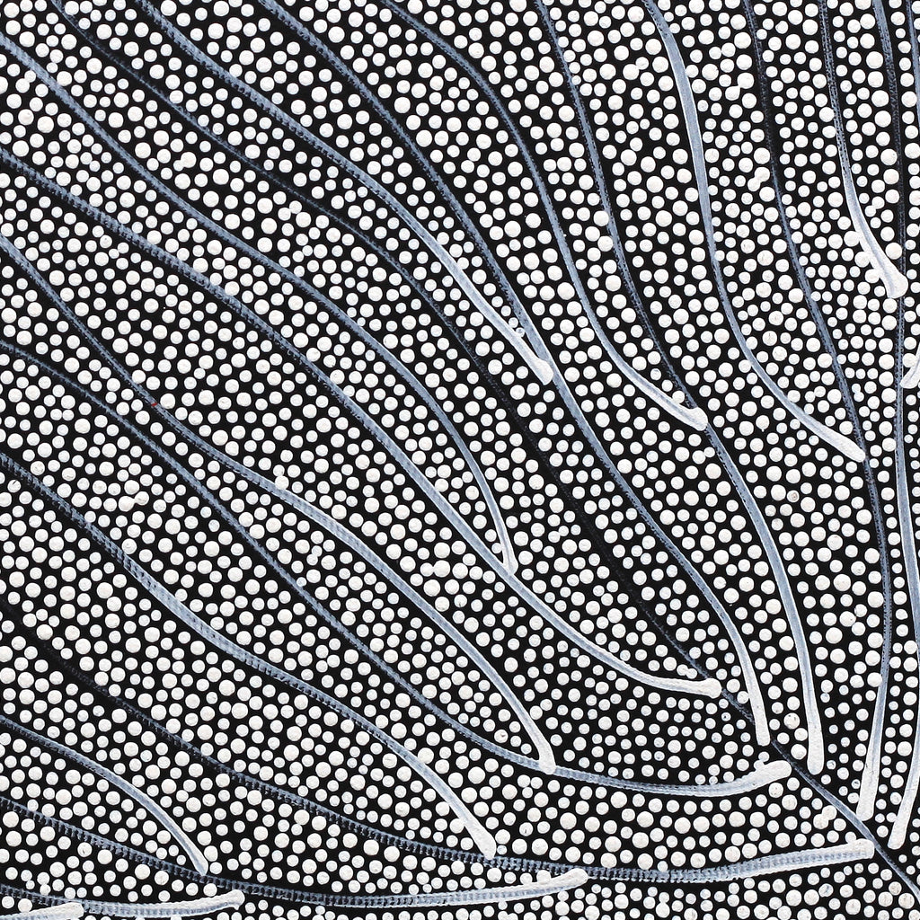 Aboriginal Artwork by Mary Napangardi Butcher, Pikilyi Jukurrpa, 30x30cm - ART ARK®
