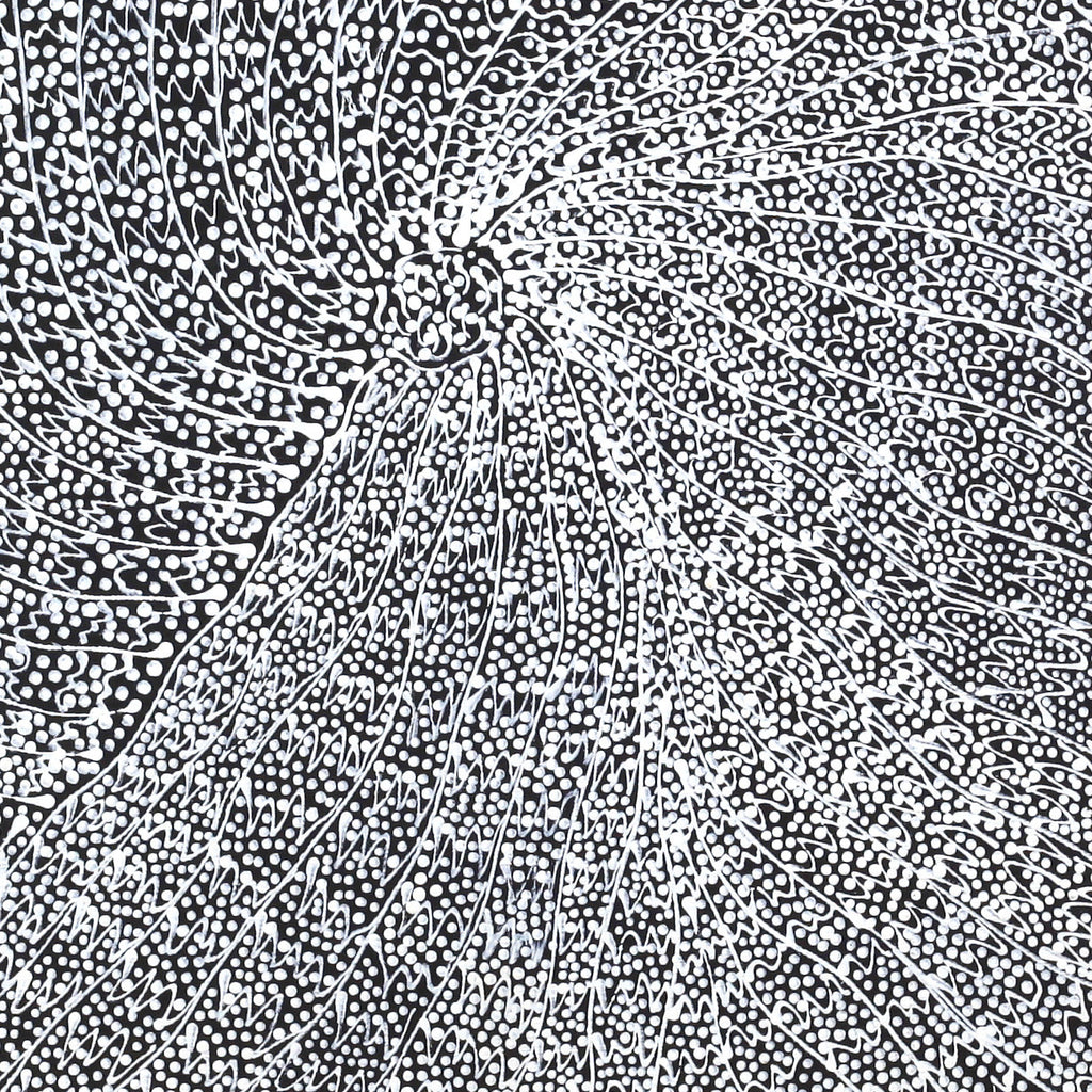 Aboriginal Artwork by Mary Napangardi Butcher, Pikilyi Jukurrpa, 30x30cm