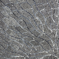 Aboriginal Artwork by Mary Napangardi Butcher, Pikilyi Jukurrpa, 30x30cm