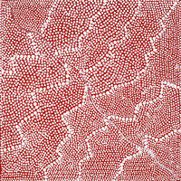 Aboriginal Artwork by Mary Napangardi Butcher, Pikilyi Jukurrpa, 30x30cm