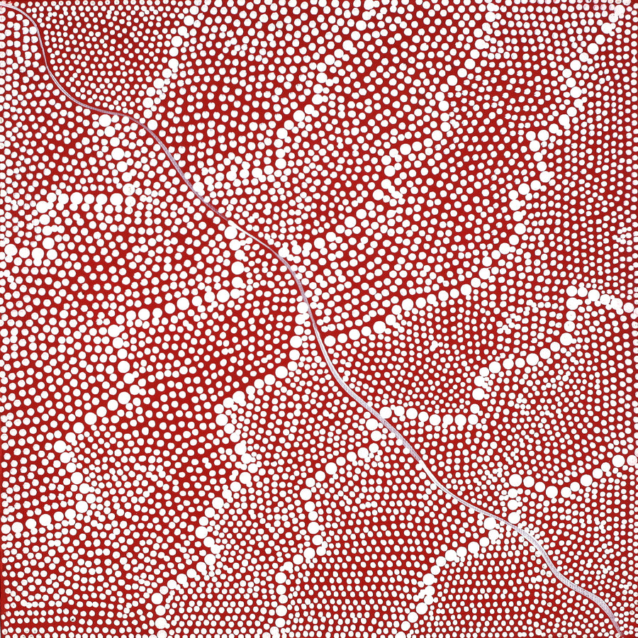 Aboriginal Artwork by Mary Napangardi Butcher, Pikilyi Jukurrpa, 30x30cm