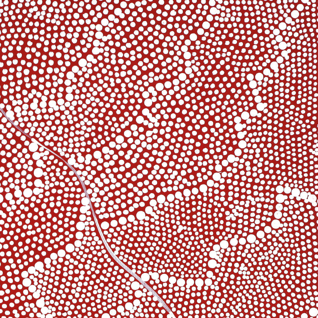 Aboriginal Artwork by Mary Napangardi Butcher, Pikilyi Jukurrpa, 30x30cm