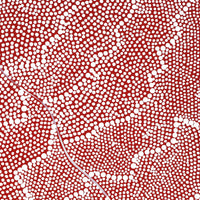 Aboriginal Artwork by Mary Napangardi Butcher, Pikilyi Jukurrpa, 30x30cm