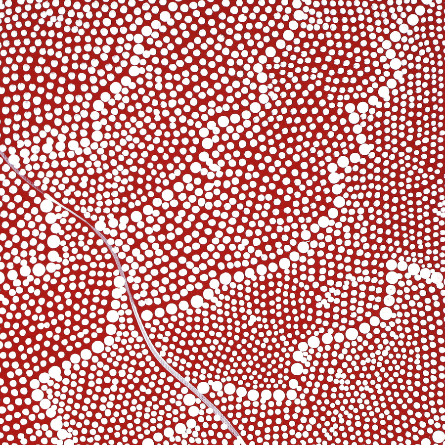 Aboriginal Artwork by Mary Napangardi Butcher, Pikilyi Jukurrpa, 30x30cm